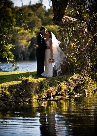 ceremony tree