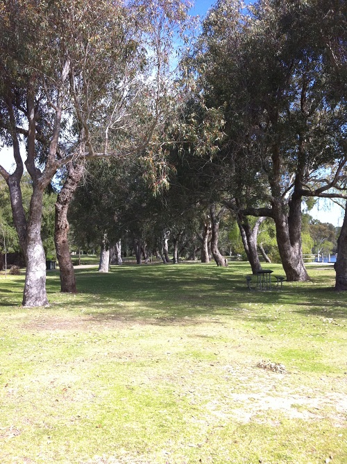 Jarrah Avenue