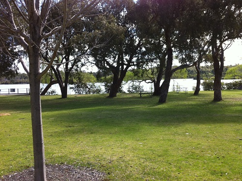 Jarrah Avenue 2